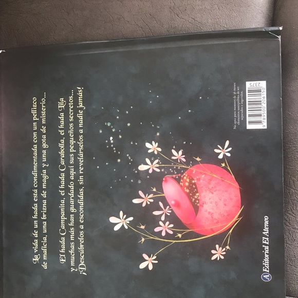 Children Book. Spanish La vida secreta de las Hadas. The secret life of fairies - Picture 4 of 10